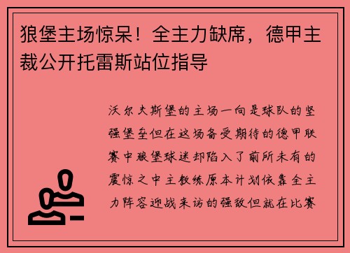 狼堡主场惊呆！全主力缺席，德甲主裁公开托雷斯站位指导