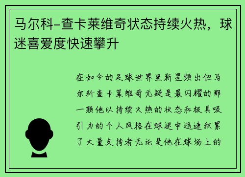 马尔科-查卡莱维奇状态持续火热，球迷喜爱度快速攀升